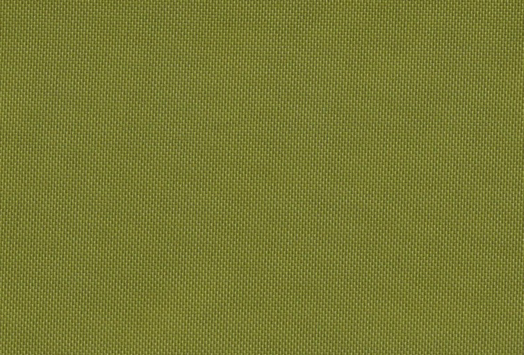 Eucalyptus